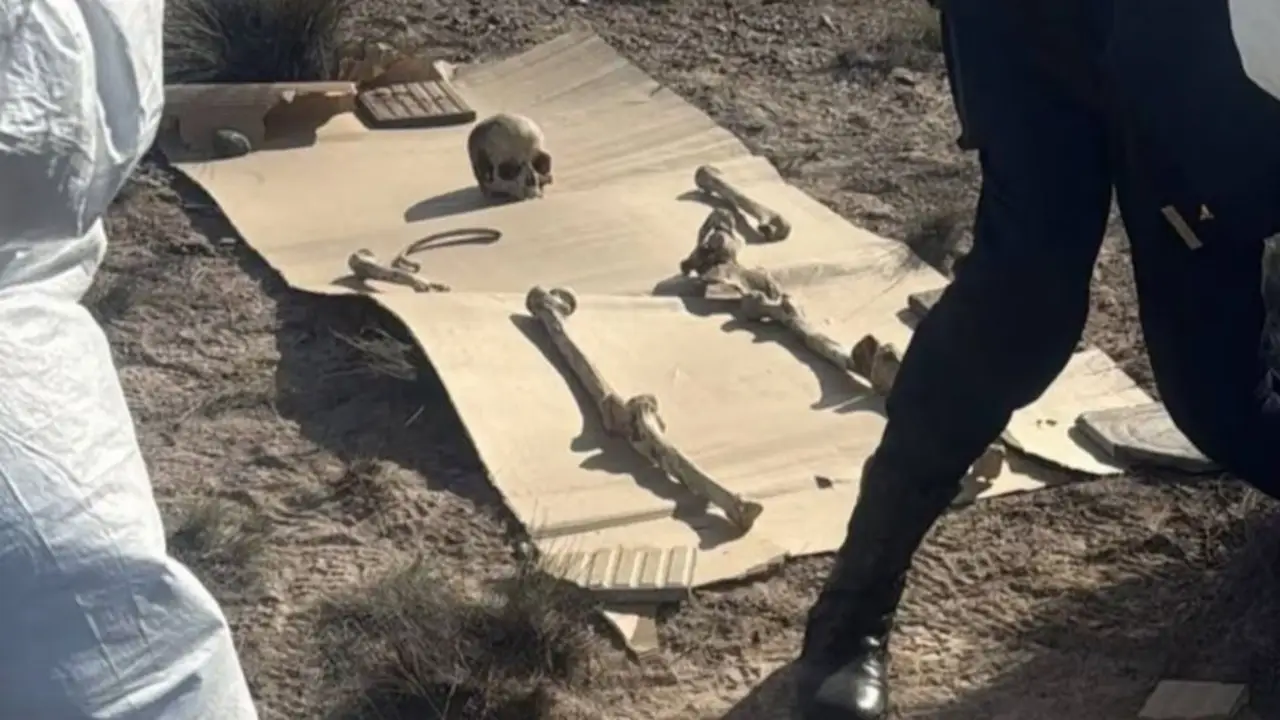 Misterioso hallazgo en Chubut: sacó a pasear a su perro y encontró 125 restos óseos en bolsas