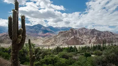 Buscan voluntarios para vivir gratis en Jujuy a cambio de trabajar 24 horas por semana: qué requisitos piden y cómo aplicar Buscan voluntarios para vivir gratis en Jujuy a cambio de trabajar 24 horas por semana: qué requisitos piden y cómo aplicar