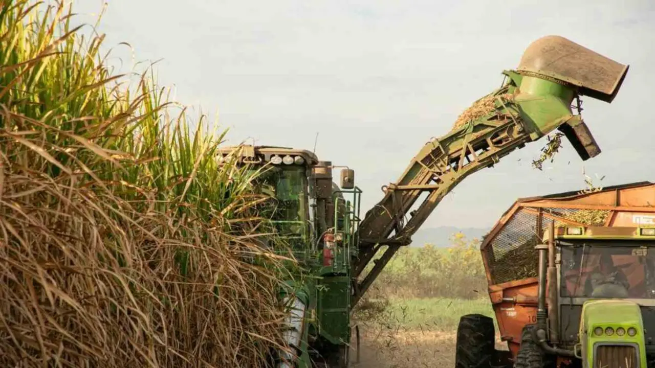 Más industria: Tucumán impulsa nuevas herramientas para atraer inversiones y potenciar a pymes locales