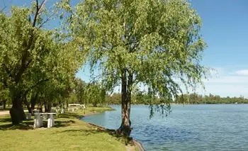 Escapada clave: queda a una hora de CABA y celebra la primavera con un picnic retro | Escapadas