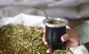 Menos producción de yerba, consumo estancado y crisis en Misiones | Yerbateros
