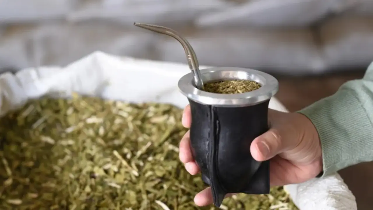 Menos producción de yerba, consumo estancado y Misiones golpeada por la crisis