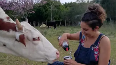 Buscan argentinos para hacer voluntariados ambientales con hospedaje y comida gratis en Chile y Perú Buscan argentinos para hacer voluntariados ambientales con hospedaje y comida gratis en Chile y Perú