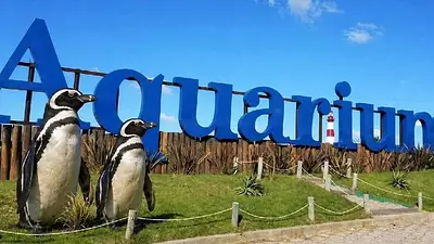 Animales Animales