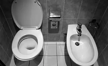 Adiós al inodoro blanco: la nueva tendencia que llega a los baños | Hogar