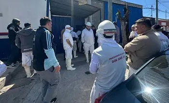 Despiden a 27 trabajadores en un histórico frigorífico de Santa Fe | Santa fe