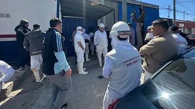 Crisis sin fin: despiden a 27 trabajadores en un histórico frigorífico de Santa Fe Crisis sin fin: despiden a 27 trabajadores en un histórico frigorífico de Santa Fe