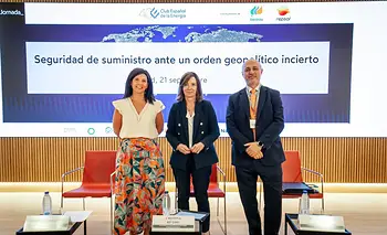 Advierten que Europa debe acelerar la electrificación y proteger su red energética | Europa