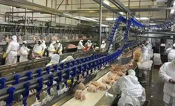 Granja Tres Arroyos: trabajadores denuncian que la empresa busca pagar salarios con pollos | Crisis económica