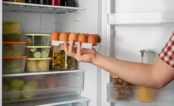 Claves para no desperdiciar comida: cuánto duran los alimentos en la heladera y cómo conse | Alimentos