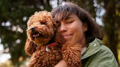 Qué debe saber un dueño de caniche. Qué debe saber un dueño de caniche.