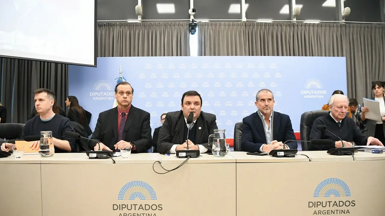 LLA tuvo que ceder y la emergencia en Discapacidad tiene dictamen 