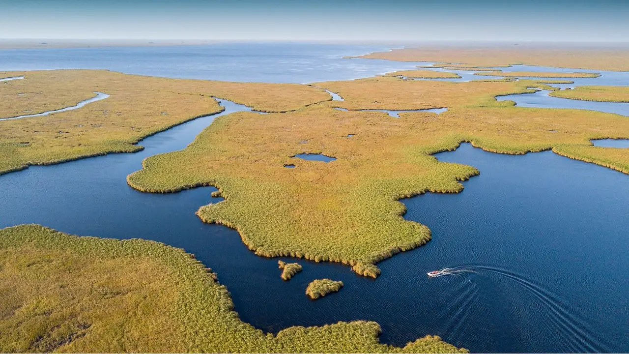 La estancia ganadera de 12.000 hectáreas que convirtieron en un parque nacional: tiene una gran población de osos hormigueros