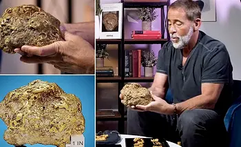 Encontró más de 9 kilos de oro con su tractor y ganó USD 750.000 | Oro