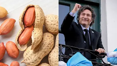 Maní Javier Milei Maní Javier Milei