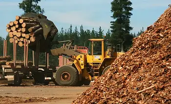 Dura crítica de la industria forestal a Milei: "Ajuste a las pymes y no a la casta" | Ajuste