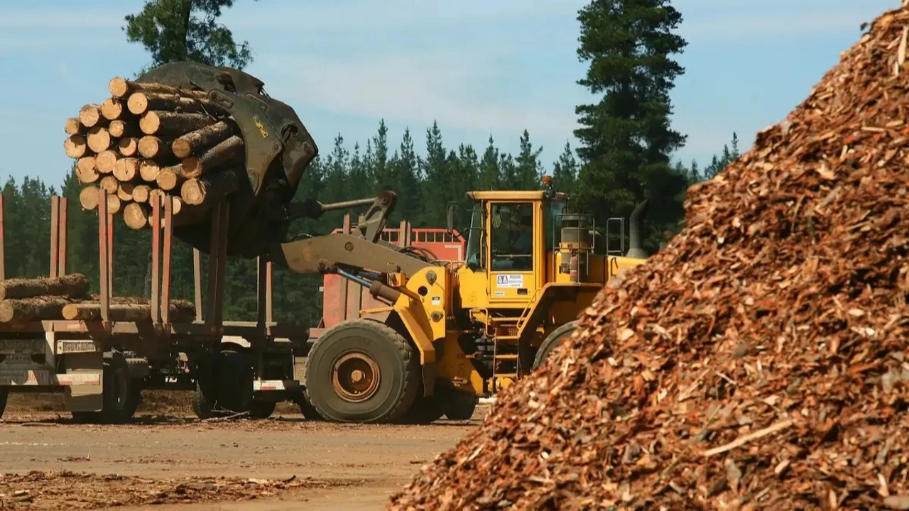 La industria forestal correntina apuntó contra las políticas de Milei: "Ajuste a las pymes y no a la casta"