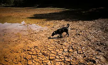 China advirtió que este año se registrará el "Super El Niño" más intenso de la historia | Clima
