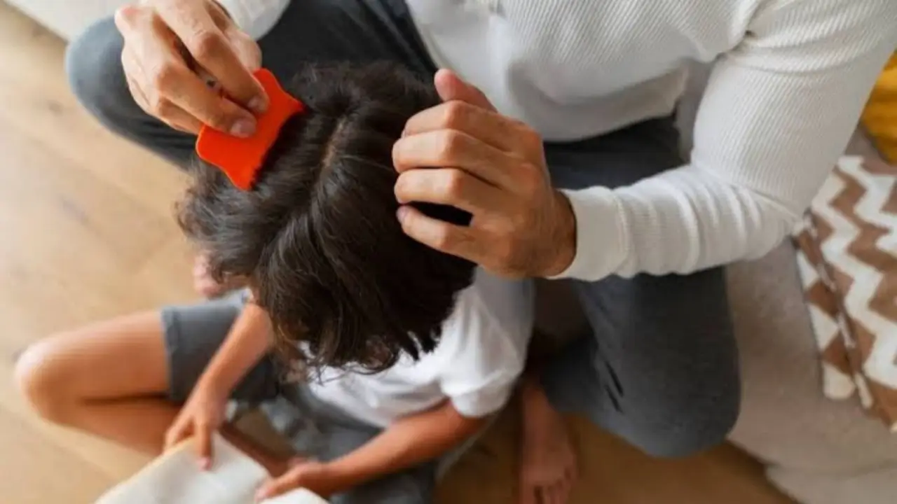 Cómo es la colita de pelo anti-piojos.