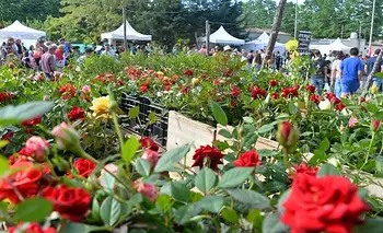 El pueblo de 300 habitantes que vale la pena visitar en primavera | Escapadas