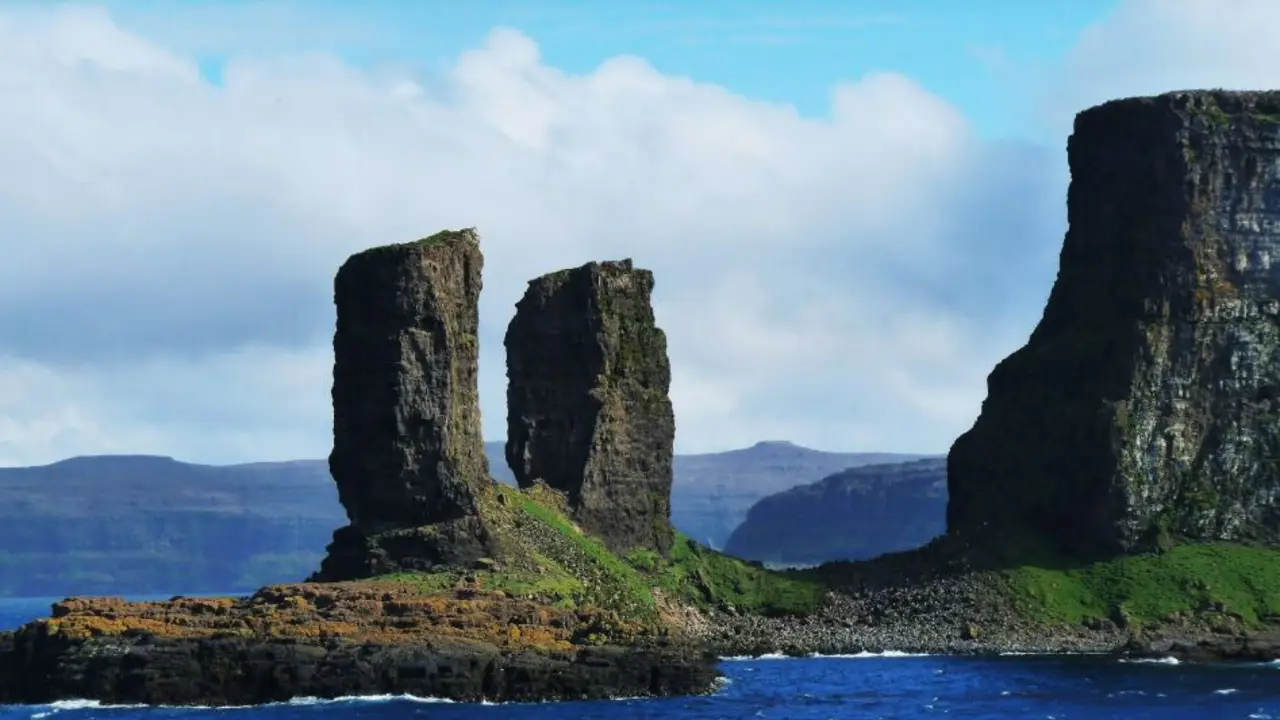 Vivía en una de las islas más aisladas del planeta y ocultó su identidad durante 100 años: así es la nueva especie de pingüino