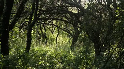 "Reservita" Cañada de Luque. "Reservita" Cañada de Luque.