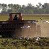 Noticias de Campo - El Destape