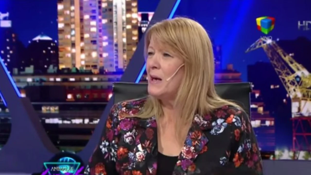 Elecciones 2015: la insólita teoría de Stolbizer sobre las elecciones