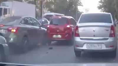 Quiso salvar a una paloma y provocó un choque múltiple Quiso salvar a una paloma y provocó un choque múltiple