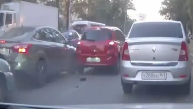 Quiso salvar a una paloma y provocó un choque múltiple | Videos insólitos
