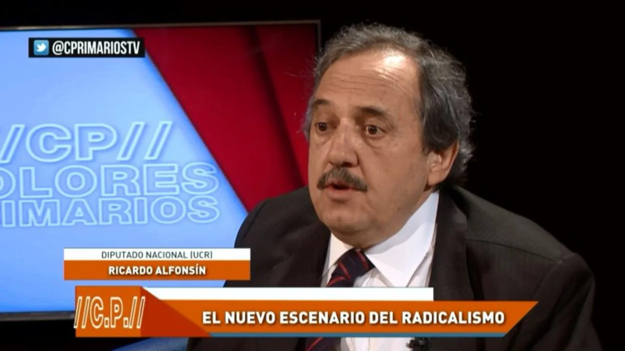 Alfonsín: "La UCR es un partido diferente del PRO"