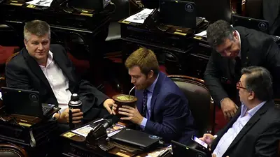 Diputados aprobó la reforma electoral: se vienen el voto electrónico y paridad de género Diputados aprobó la reforma electoral: se vienen el voto electrónico y paridad de género