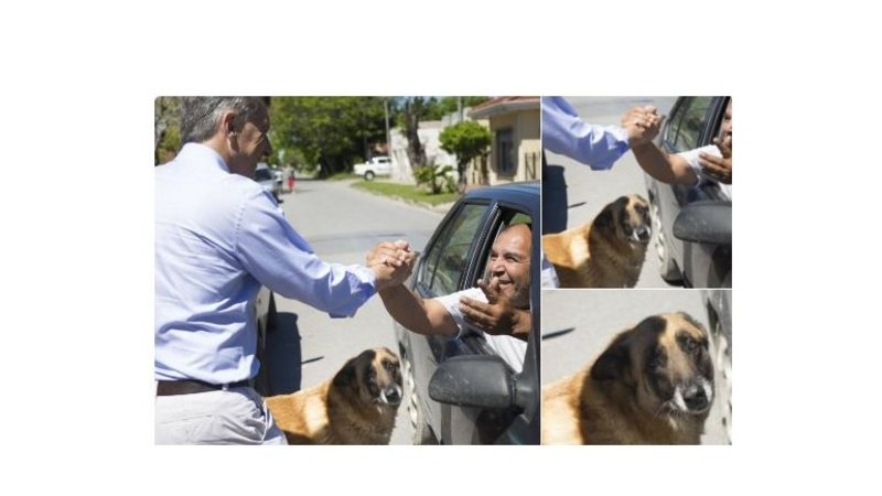 El perro que vio a Macri en el timbreo y se puso "triste"
