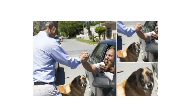 El perro que vio a Macri en el timbreo y se puso "triste"