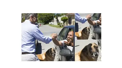 El perro que vio a Macri en el timbreo y se puso "triste" El perro que vio a Macri en el timbreo y se puso "triste"