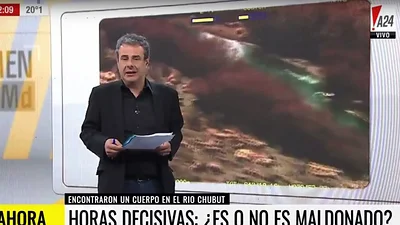 Categórica decisión de A24 por la denuncia de abuso sexual contra Ari Paluch Categórica decisión de A24 por la denuncia de abuso sexual contra Ari Paluch