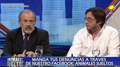 Amadeo se cruzó con un periodista y defendió que el hermano de Macri entrara al blanqueo Amadeo se cruzó con un periodista y defendió que el hermano de Macri entrara al blanqueo
