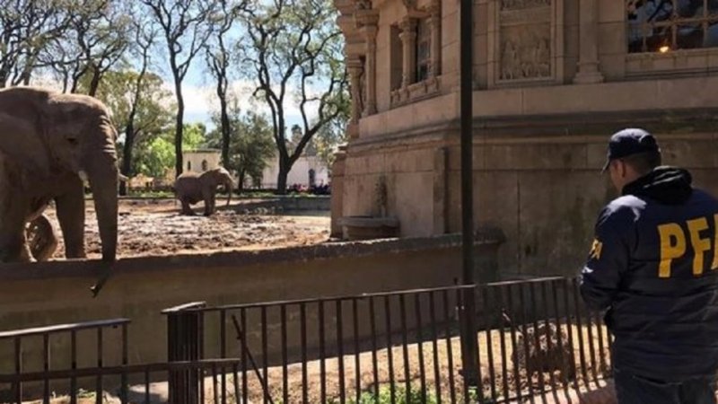 Allanaron el Ecoparque de Larreta y alertan que puede morir un elefante