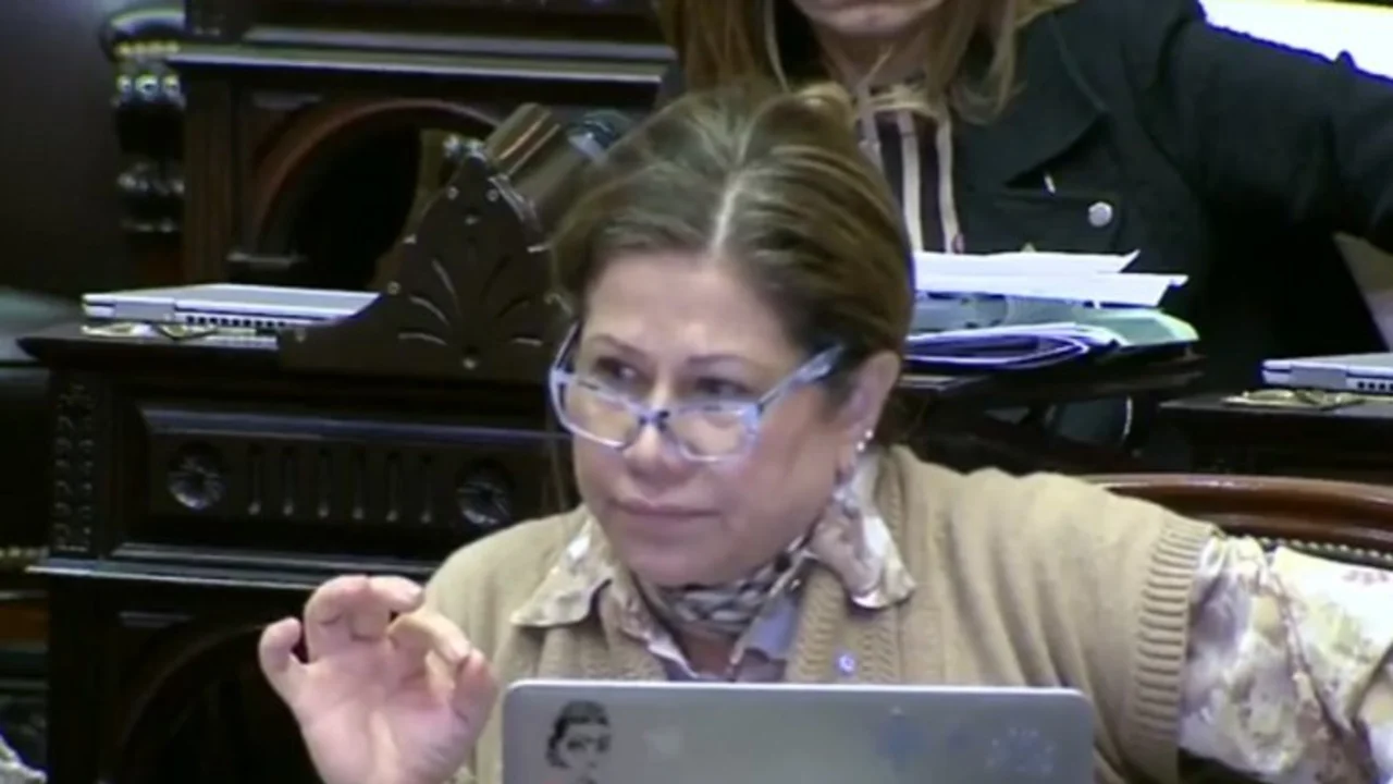 Graciela Camaño: "No vamos a suspender la sesión por el gas, es un delito"