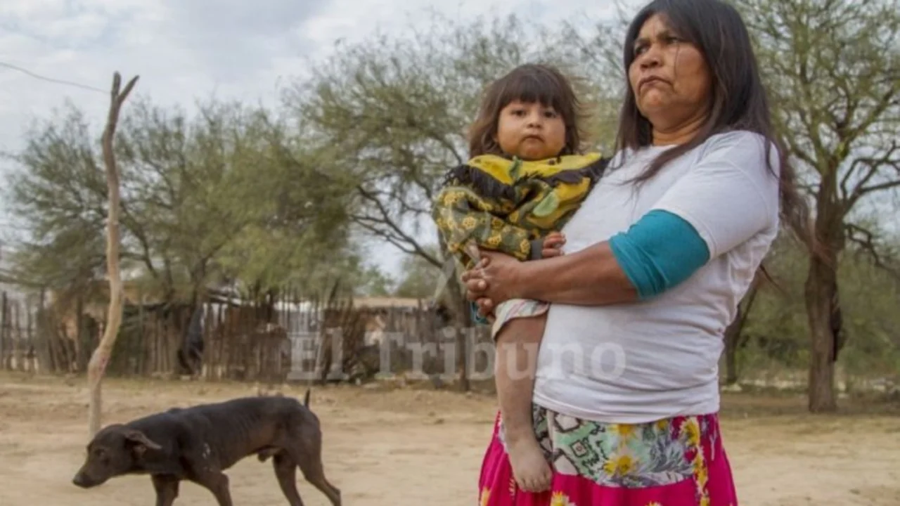El lamentable mensaje del Gobierno sobre un niño pobre de Chaco
