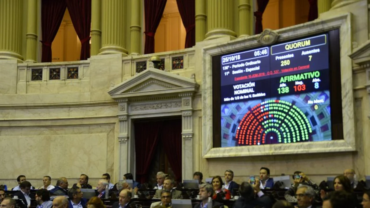 Presupuesto 2019: los puntos más polémicos del proyecto que aprobó el oficialismo