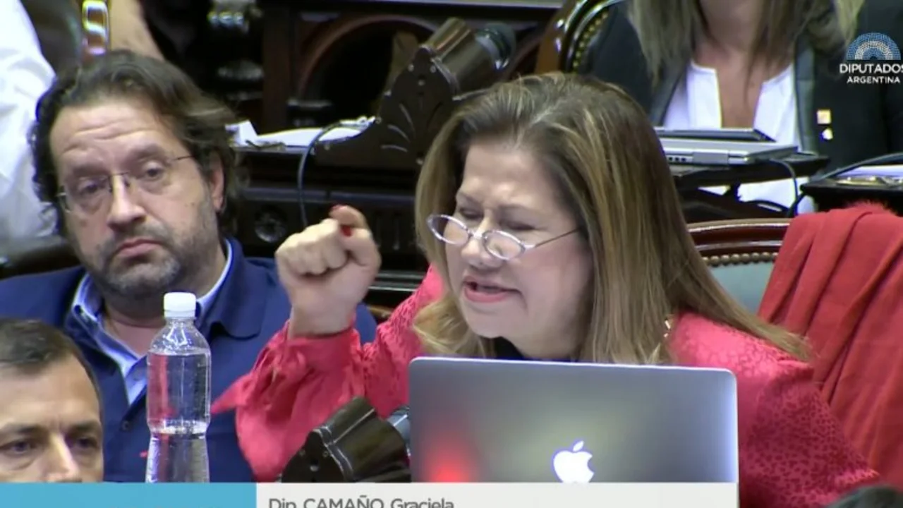 Presupuesto 2019 | Camaño: "¿Qué carajo quieren? ¿Que estalle el Conurbano?"