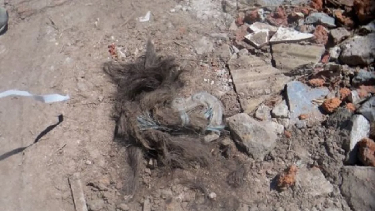 Municipio de Cambiemos uso escombros de cementerio para rellenar calle: "Hay cabello humano en el piso"
