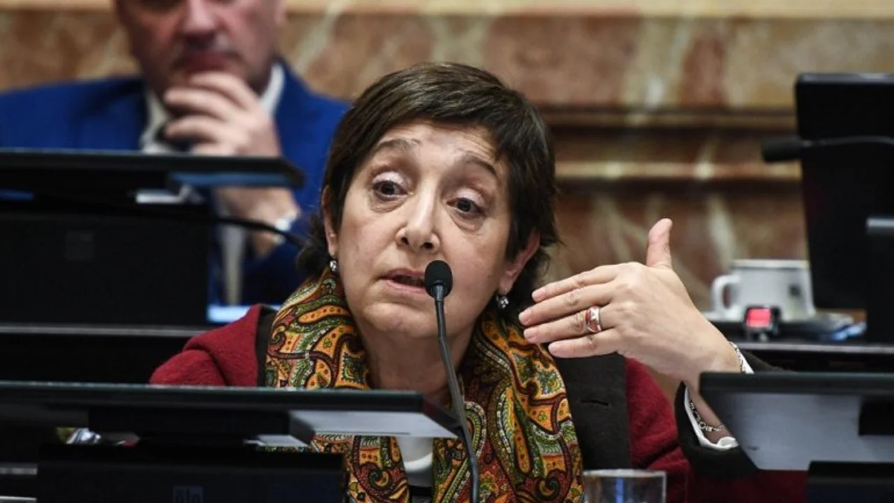 La senadora Mirkin reveló que Manzur pidió el apoyo del PJ para el Presupuesto 2019