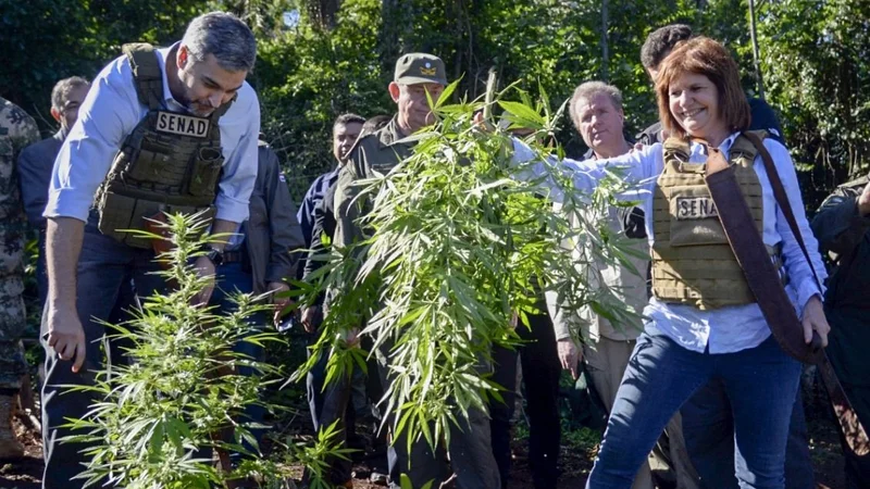 Elecciones 2019: Patricia Bullrich tergiversó los dichos de Kicillof sobre el narcotráfico para criticarlo