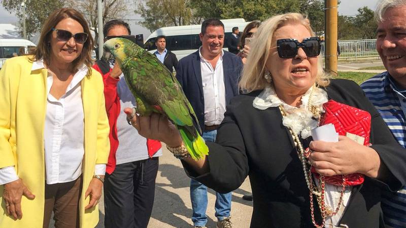 Elecciones 2019: para Elisa Carrió, los pobres se "mercantilizaron" y los comparó con "taxi boys"