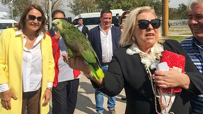 Elisa Carrió habló tras anunciar su retiro de la política y confesó que está de "parranda" Elisa Carrió habló tras anunciar su retiro de la política y confesó que está de "parranda"