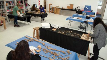 Qué es el Equipo Argentino de Antropología Forense