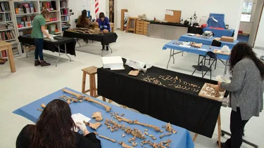 Qué es el Equipo Argentino de Antropología Forense