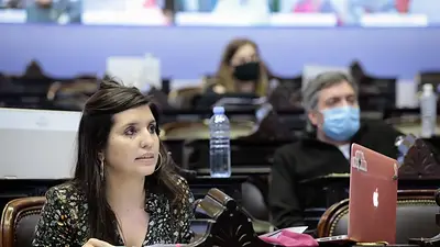 Daniela Vilar sobre los bosques nativos: “No podemos dejar que la especulación y la codicia de unos pocos pongan en peligro los ecosistemas” Daniela Vilar sobre los bosques nativos: “No podemos dejar que la especulación y la codicia de unos pocos pongan en peligro los ecosistemas”